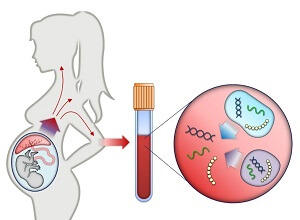 NIPT Tests