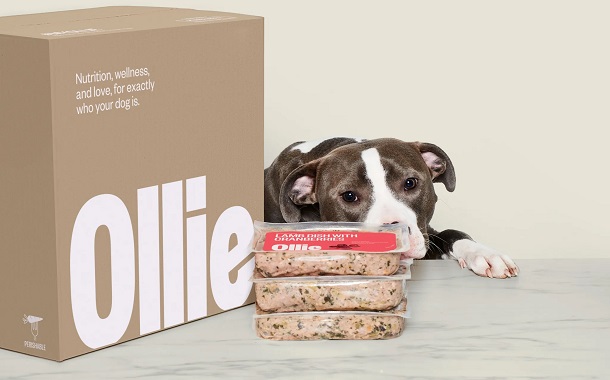 Ollie Dog Food Cost