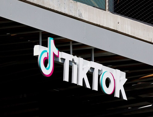 TikTok Worth