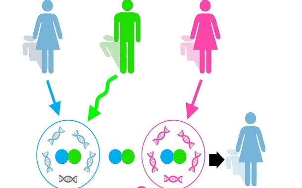 Mitochondrial‑Replacement (3‑parent) IVF Cost