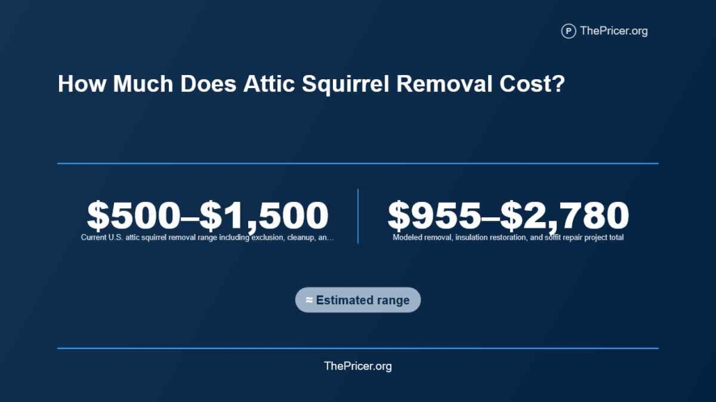 Squirrels in Attic Removal Cost