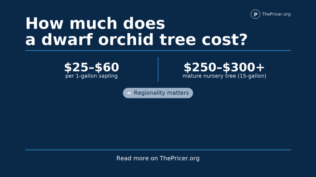 Dwarf Orchid Tree Cost