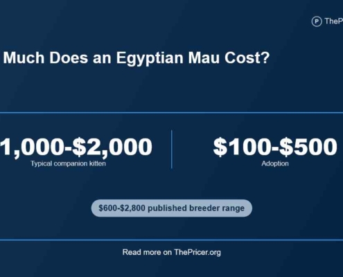 Egyptian Mau Cost
