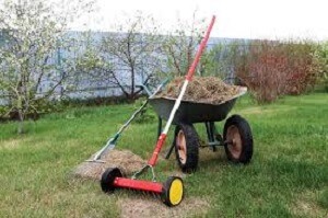 Lawn Dethatching Service Cost