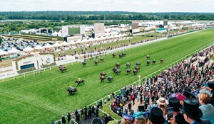 Cost to Attend Royal Ascot
