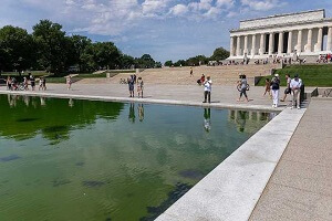 Reflecting Pool Renovation