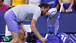 Big Tennis Fine