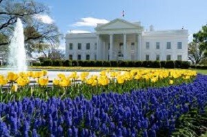 Cost to Tour The White House
