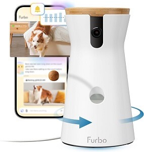 Furbo Subscription Cost