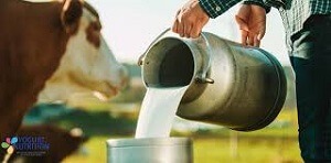 Milk Production Cost 
