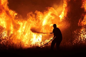 Cost to Extenguish a Wildfire