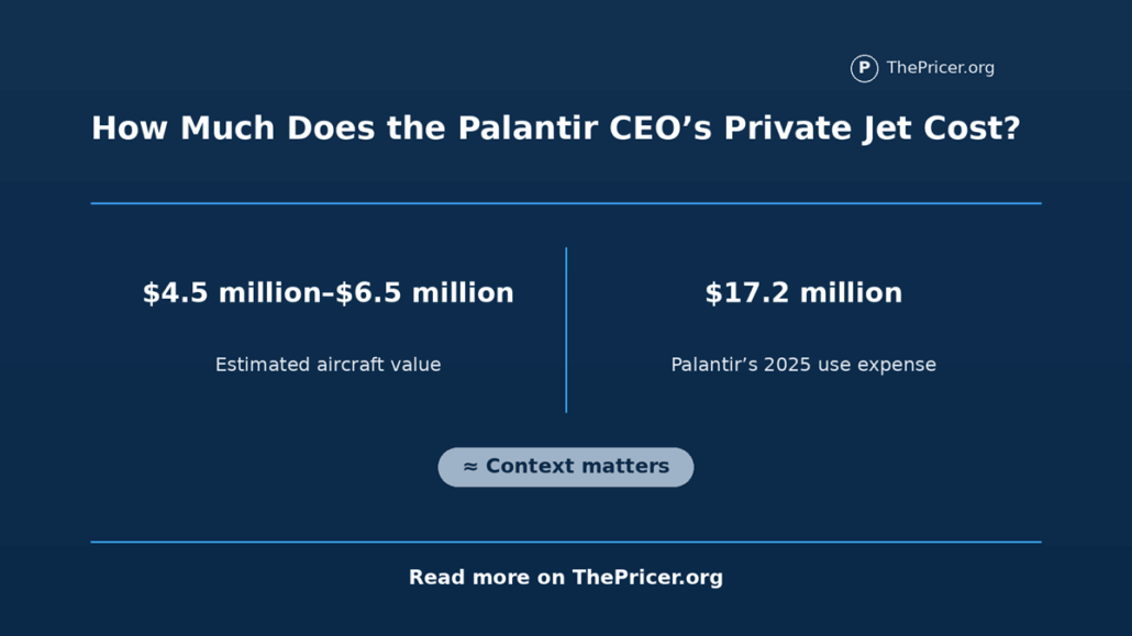 Palantir CEO Private Jet Cost