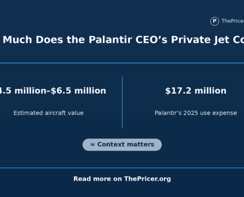 Palantir CEO Private Jet Cost