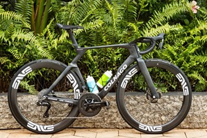 Tadej Pogacar Custom Bike 