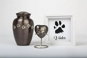 Dog Cremation