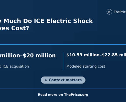 Ice Electric Shock Gloves Cost