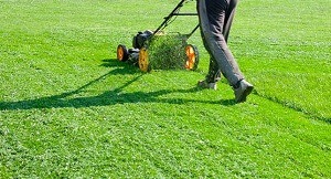 Lawn Care Service 