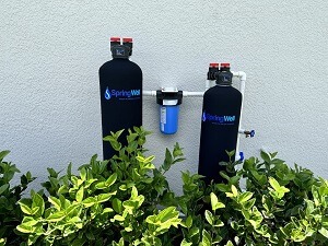 SpringWell Water System 