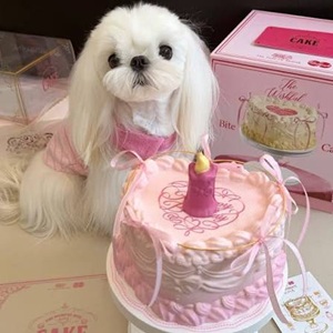 Molynk Squishy Cake
