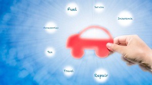 Owning a Car per Year